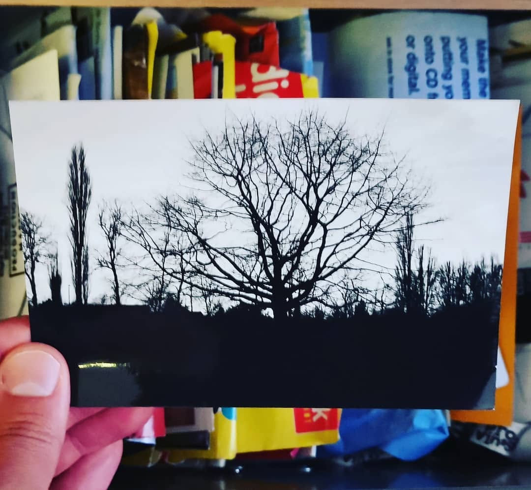 The original print